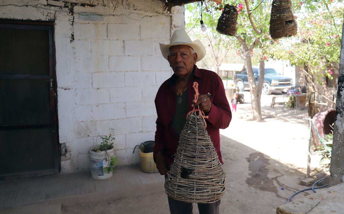 Don Lupe Salazar. | Especial