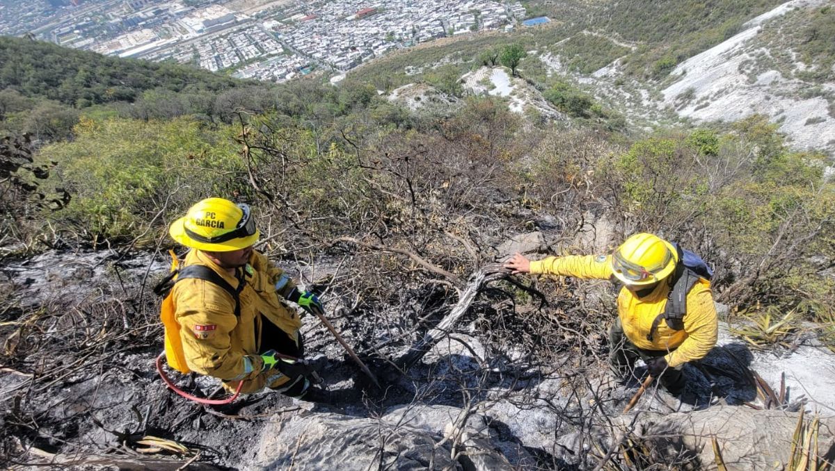 El fuego consumió vegetación como matorral bajo, sotol, lechuguilla y palmilla, que predominan en la zona. Especial
