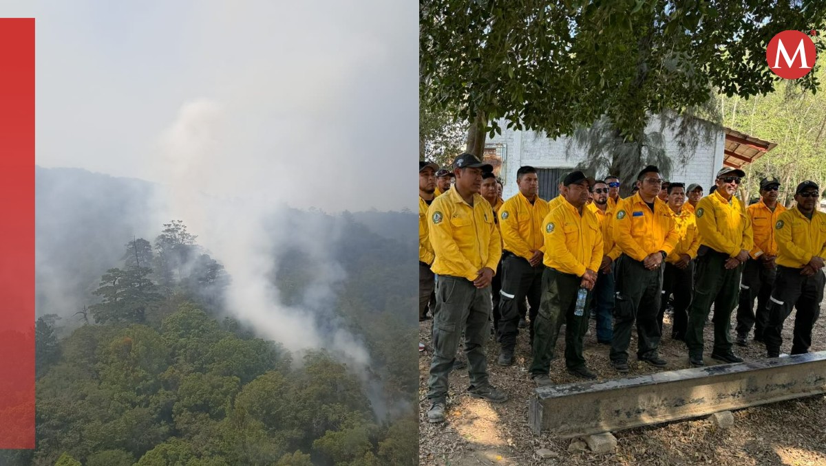 Fuerzas combinadas luchan contra incendio descontrolado en la selva oaxaqueña | Especial