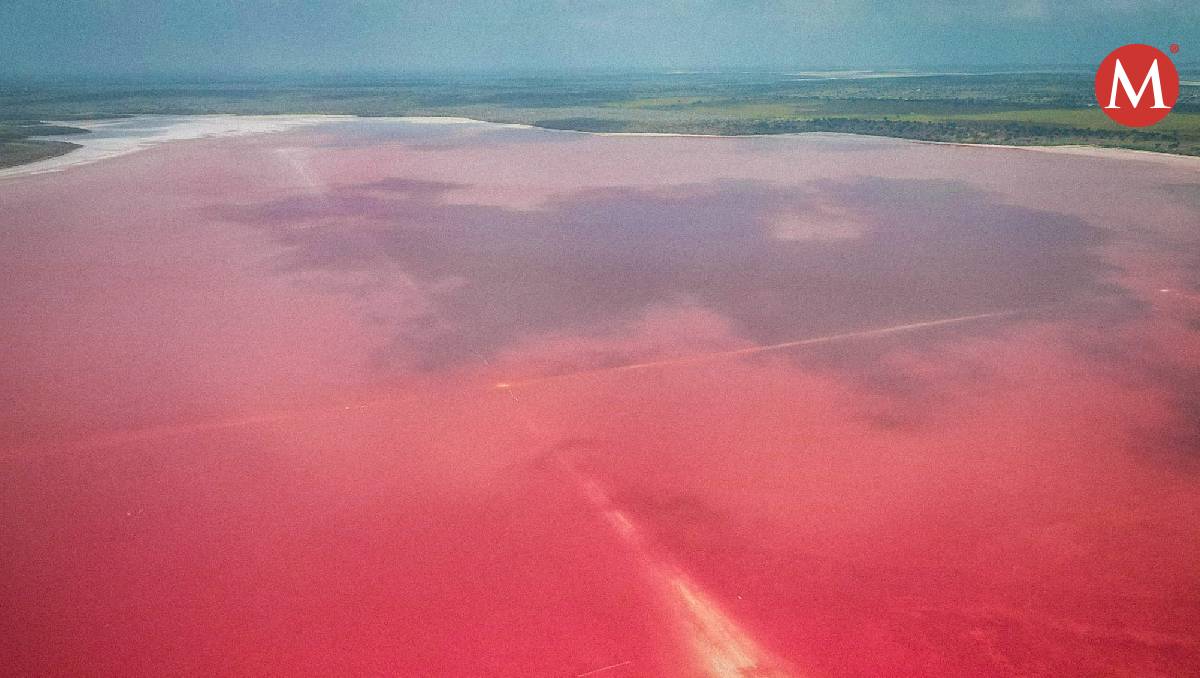 Laguna Rosa en Soto la Marina, Tamaulipas. (Antonio Medina)