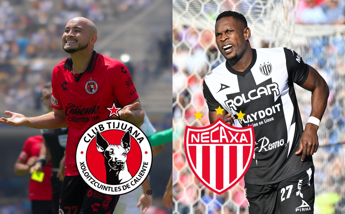 Dónde ver EN VIVO Xolos de Tijuana vs Necaxa. Jornada 14 Clausura 2024 Liga MX (Imago 7)
