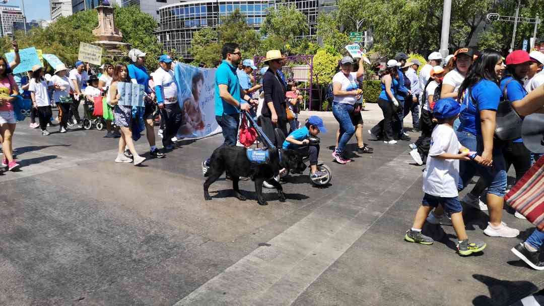 Elementos de la SSC acompañaron a los integrantes de la caminata.| Foto Jorge Becerril.