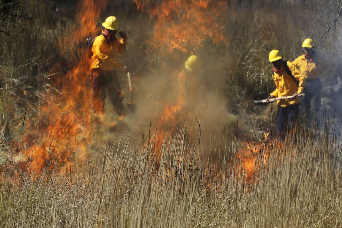 Primero nacional: Michoacán en la mira ante la magnitud de 14 incendios forestales activos | Especial