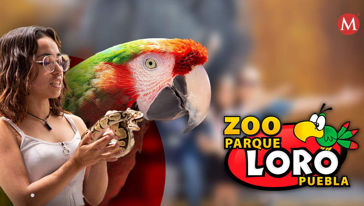 Parque Loro preserva a las especies desde hace 33 años en Puebla | Yanahui Flores