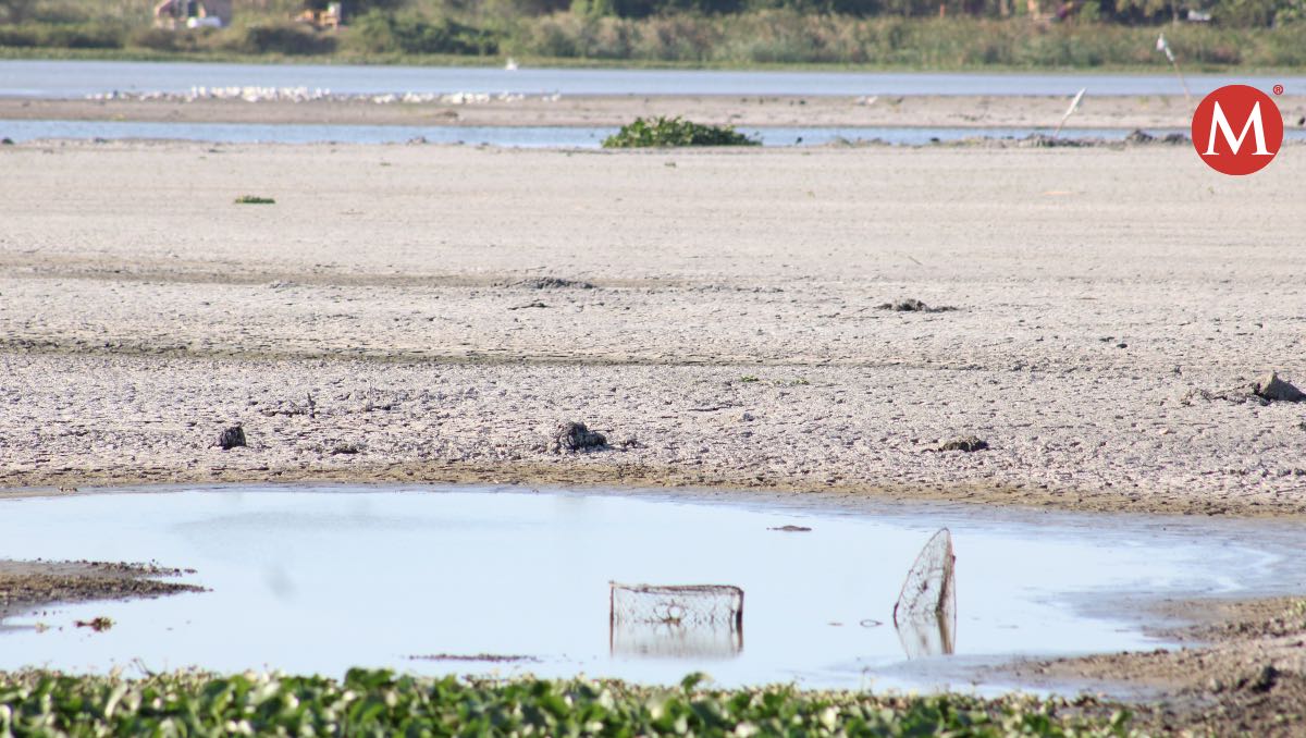 Sequía en laguna de Champayán de Altamira. (Yazmín Sánchez)