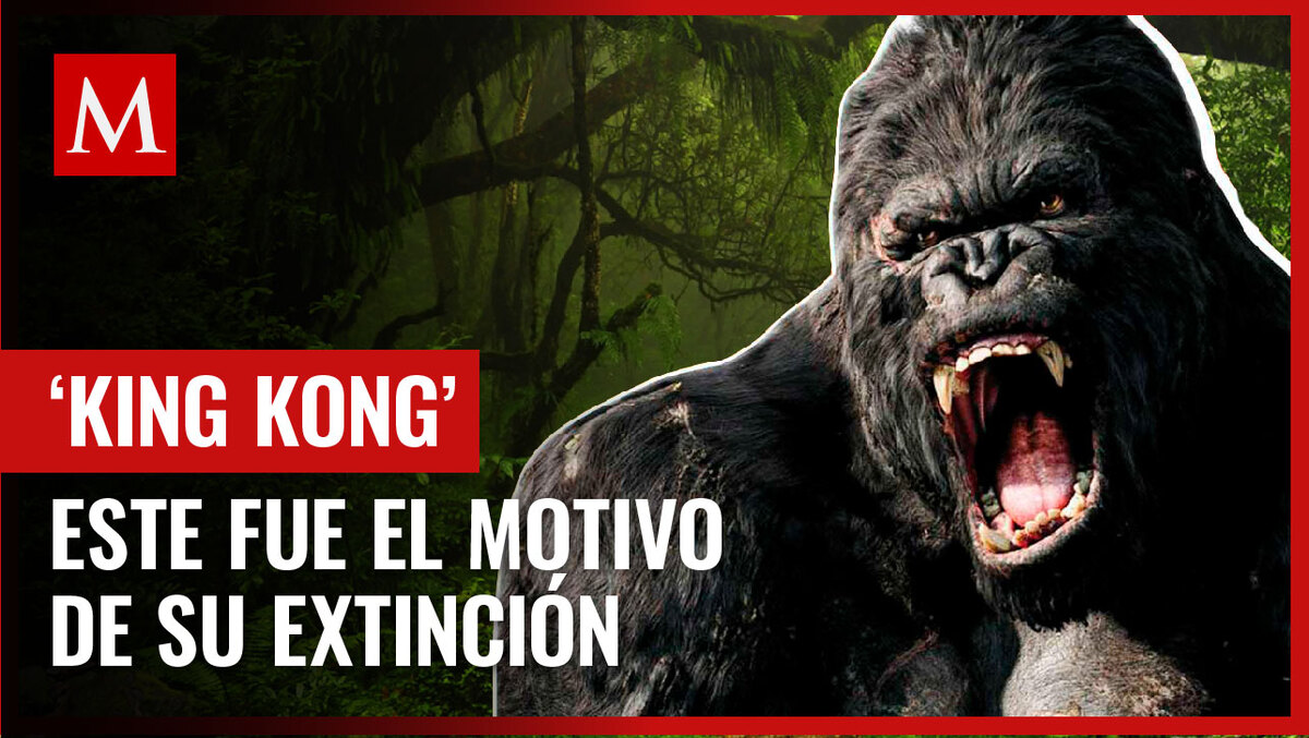 científicos revelan por qué 'King Kong' desapareció del planeta