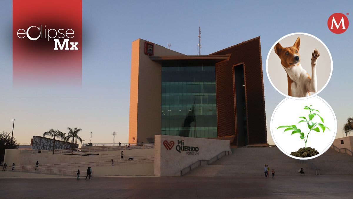 Eclipse solar en Torreón. | Especial