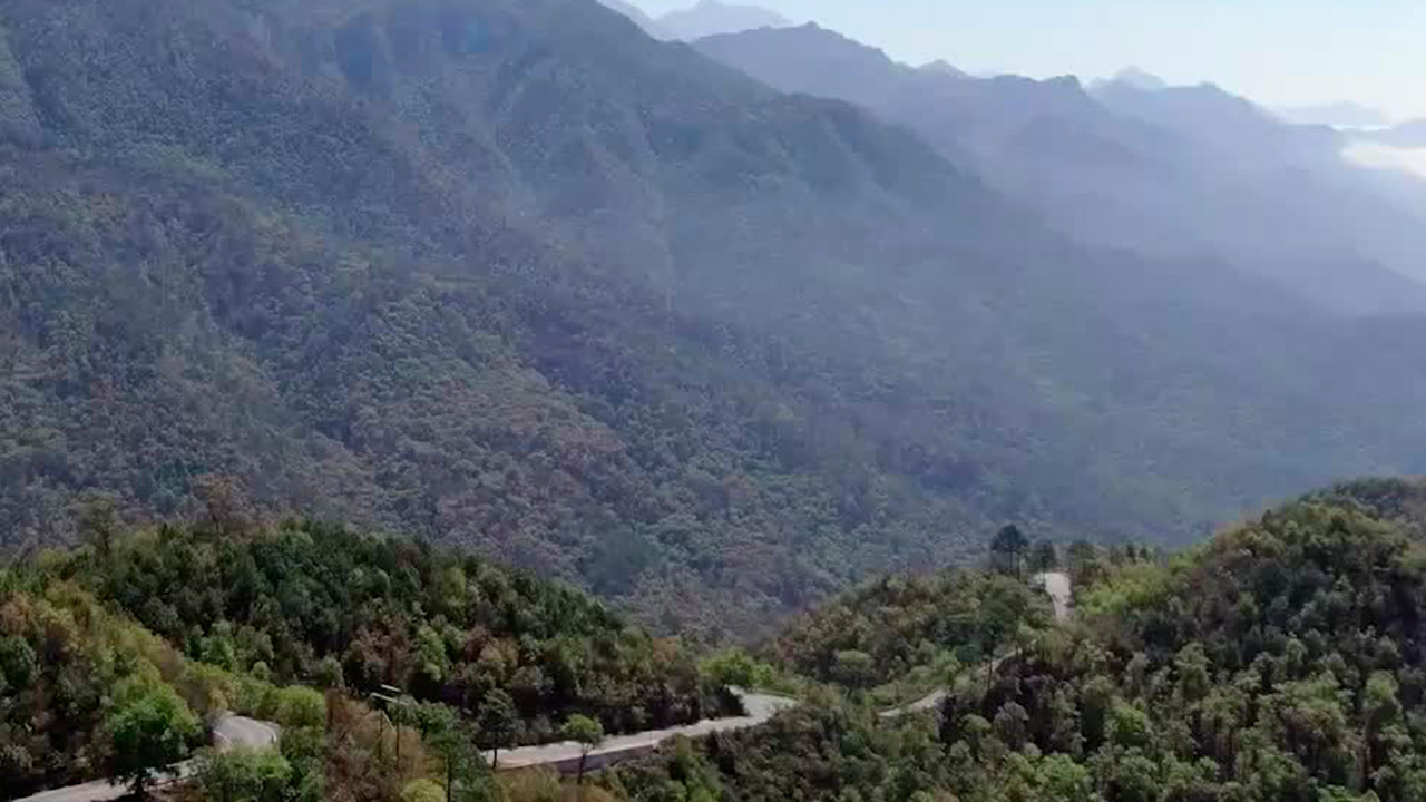 Temporada de incendios forestales en México | Conexión Milenio