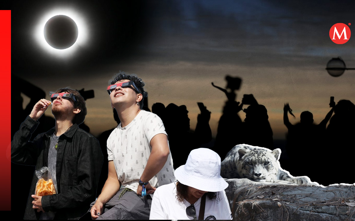 Así se vivió el eclipse solar de este 8 de abril 2024| Especial