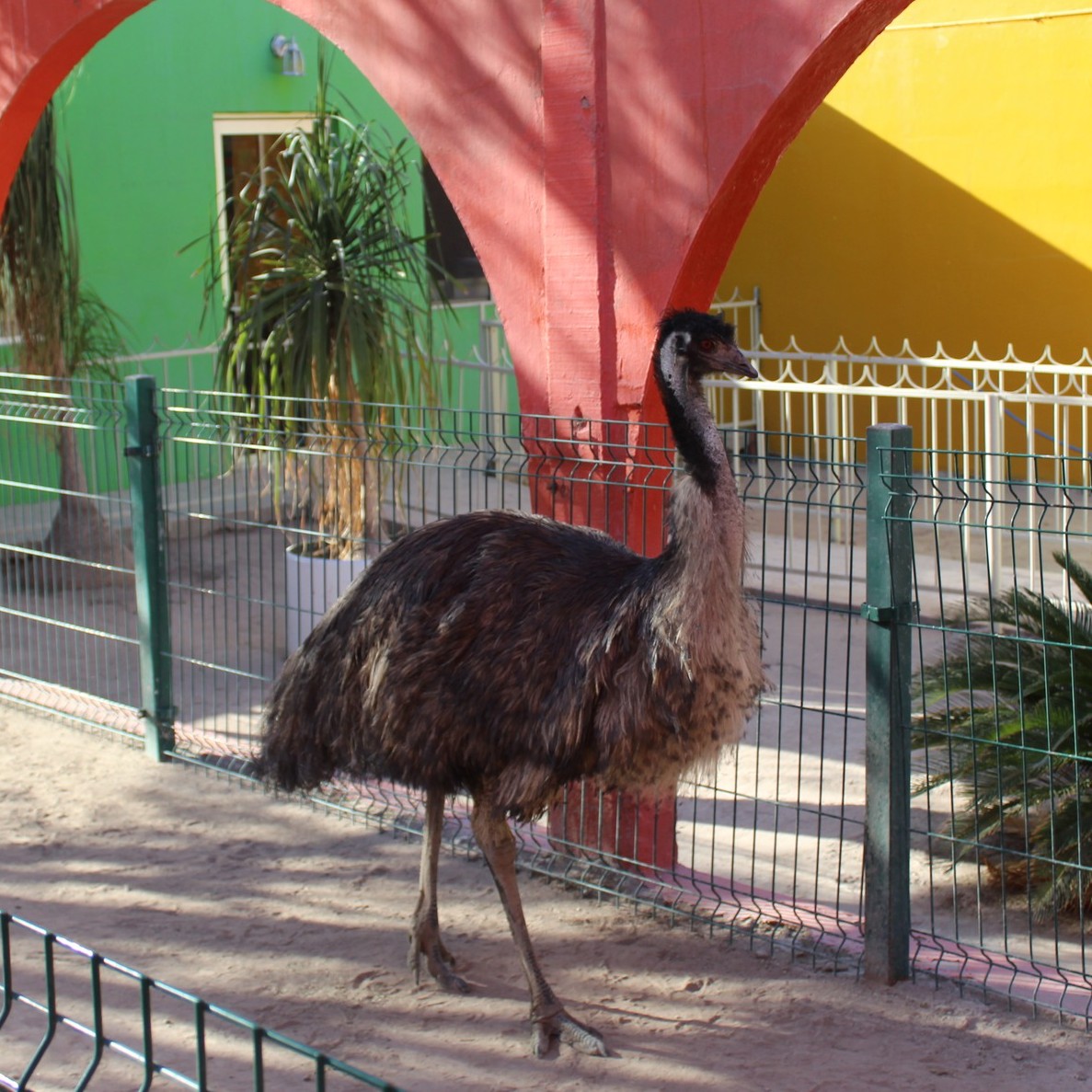 Aviario Lira en Torreón. | Facebook