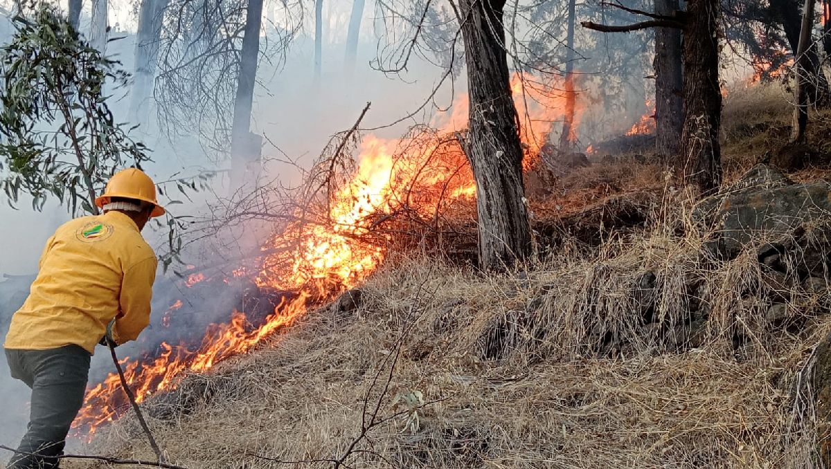 Incendio forestal en Toluca. Foto: (Especial)