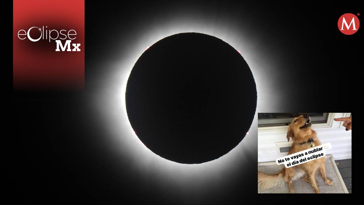 Memes por el Eclipse Total Solar. l Especial