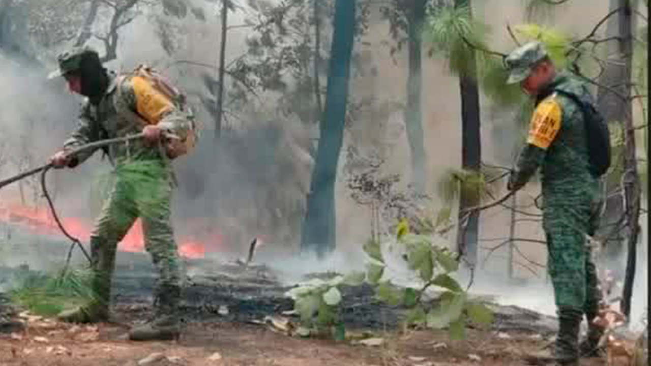 En Michoacán, el Ejército Mexicano activó el plan de D-N-III para combatir varios incendios forestales