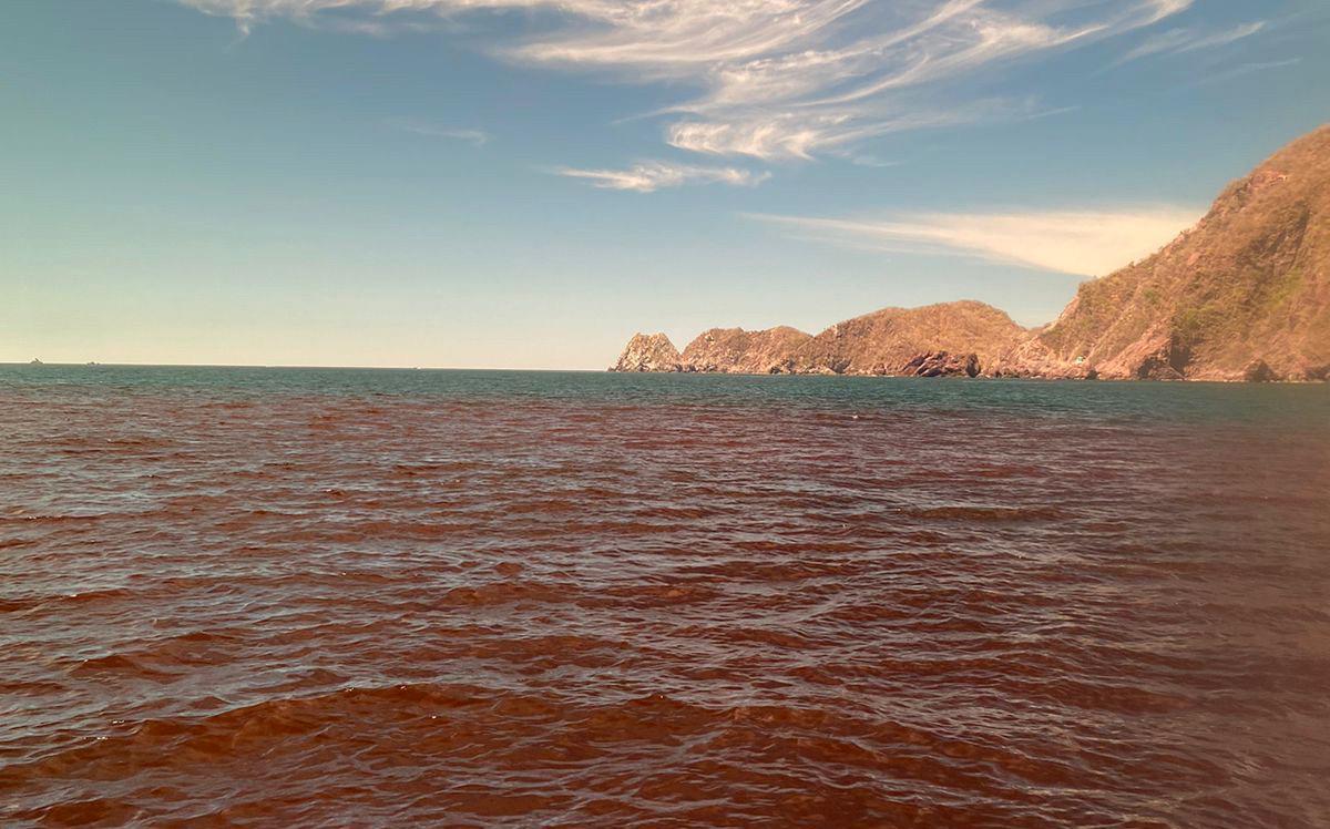 Las autoridades vigilan el desarrollo de la marea roja en Manzanillo. | Especial