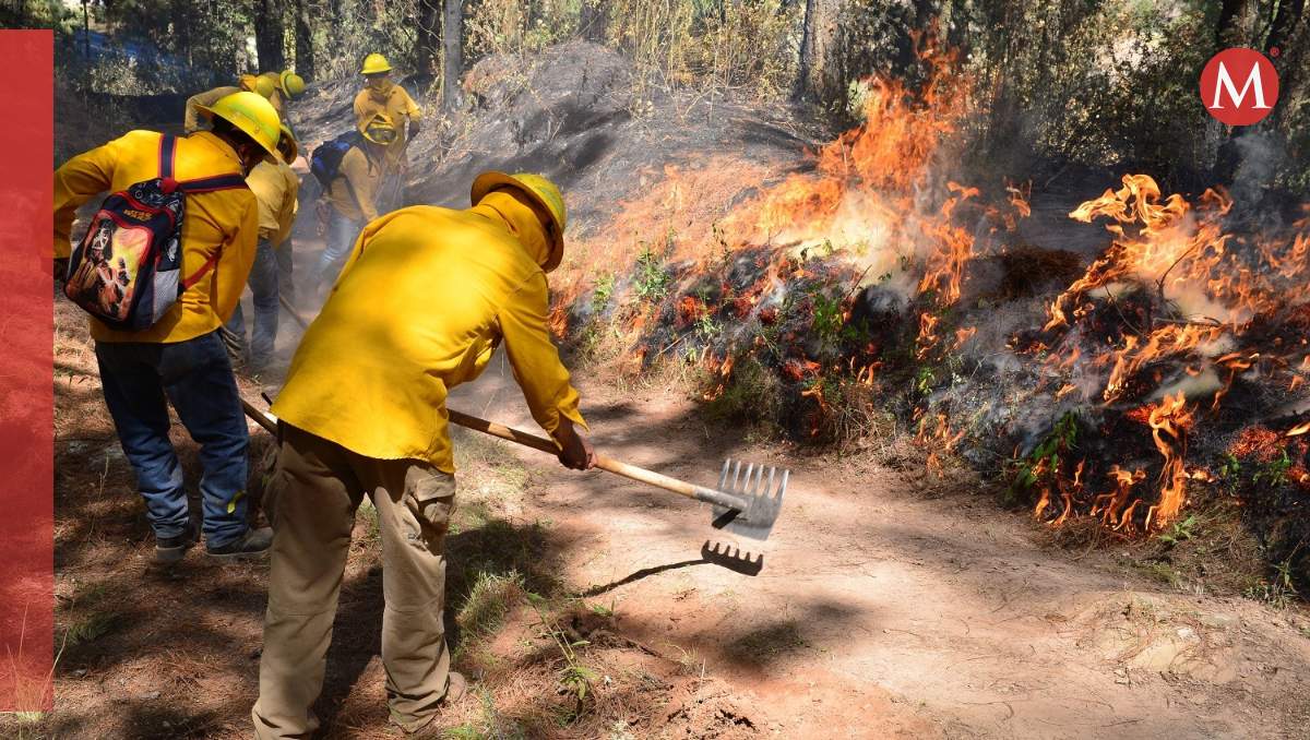 Busca legislatura local del Edomex agravar pena por incendio forestal| Foto: Especial