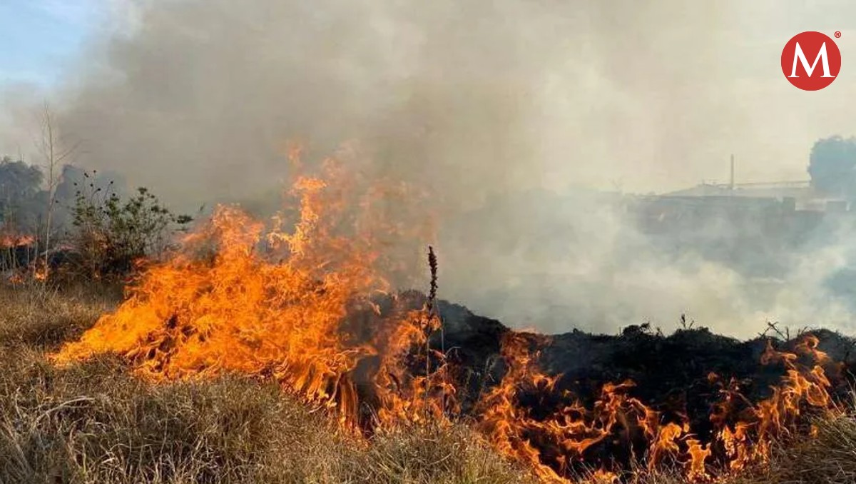 Incendios de pastizales por altas temperaturas en el norte de Veracruz