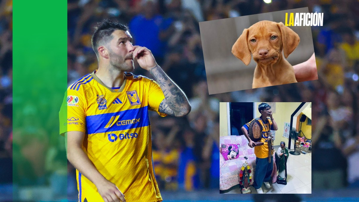 Memes de Tigres tras la eliminación de la Concacaf Champions Cup ante Columbus Crew (Imago7)