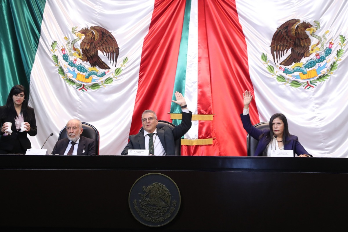 Comisión en San Lázaro aprueba opinión a favor de reforma de AMLO a CFE. | Foto: Especial.