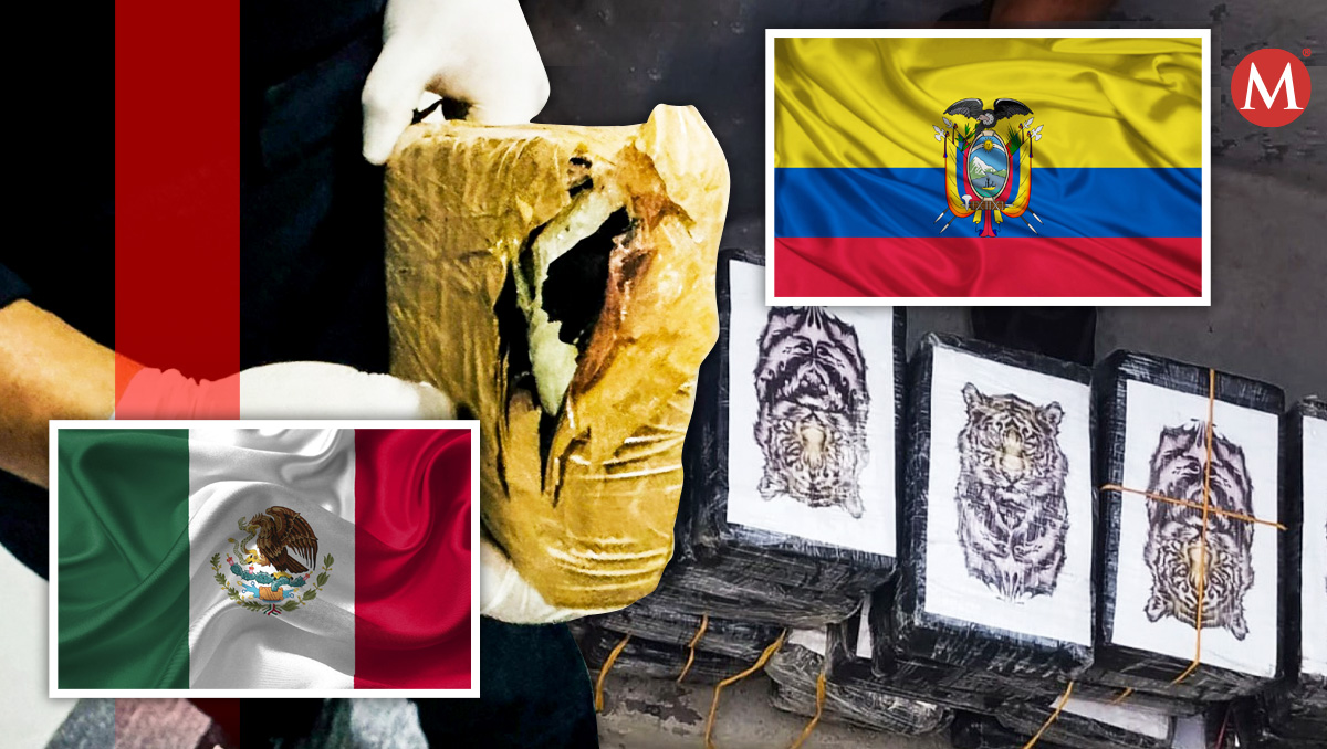 Cómo el conflicto entre México y Ecuador podría beneficiar al narcotráfico | Milenio