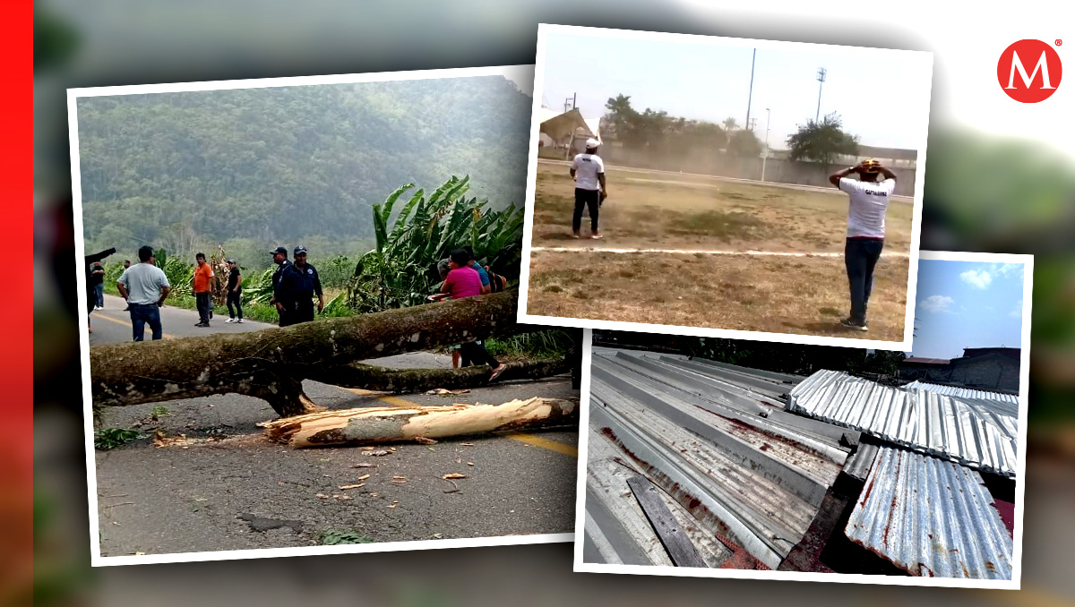 Impacto devastador del frente frío 45 en la cuenca del Papaloapan | Especial | Diseño: Antonio Texta