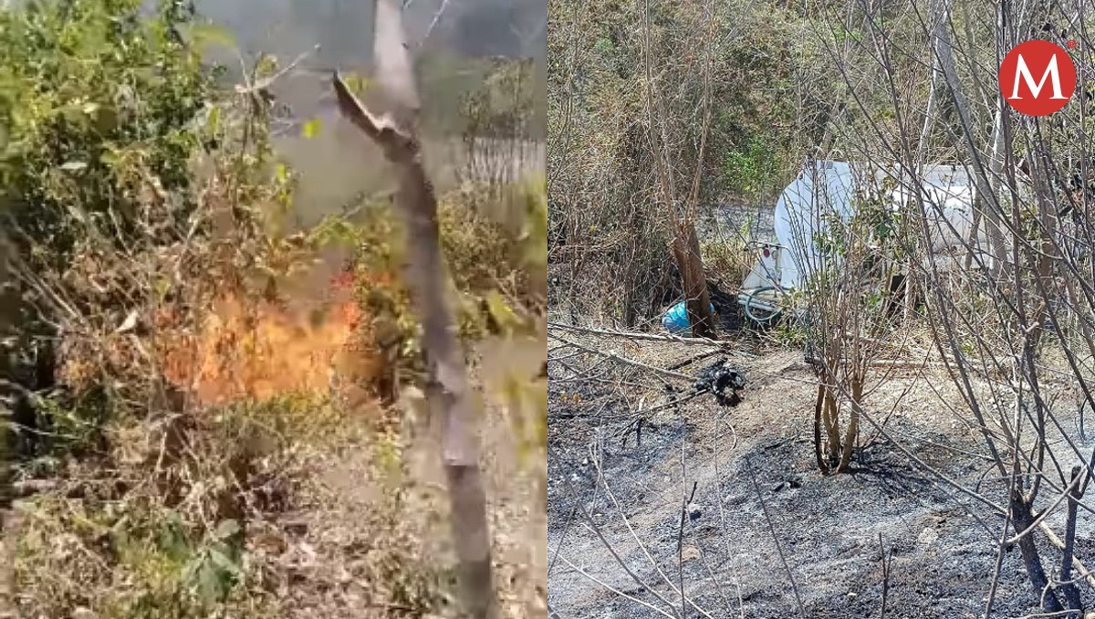 Incendio en sierra de Gómez Farías en Tamaulipas hoy 10 abril 2024