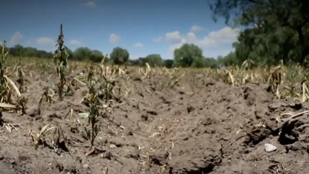 Según la Conagua, Hidalgo está en situación de sequía extrema