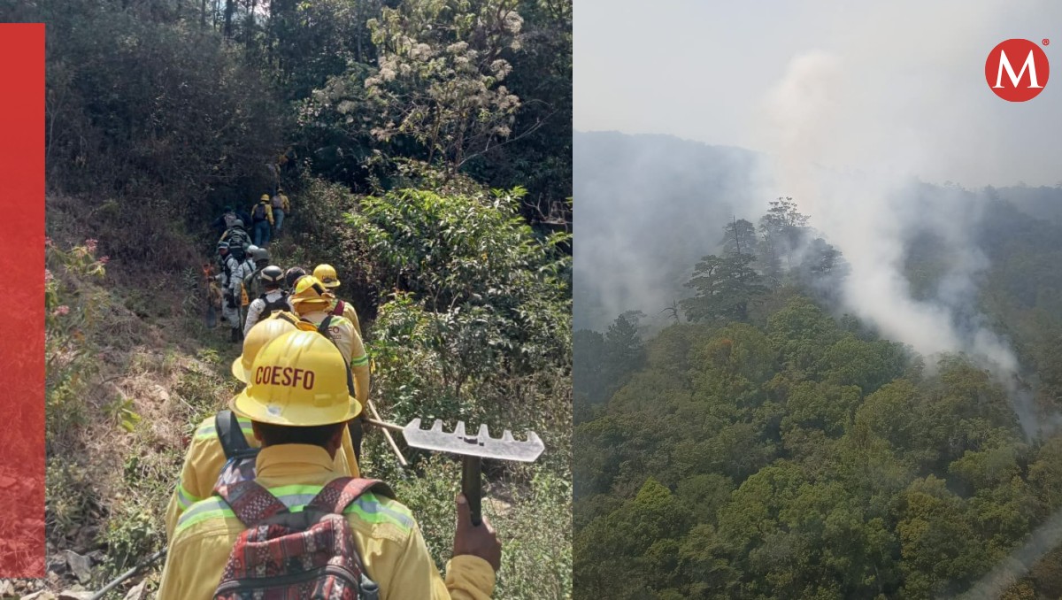 Desastre ambiental en Oaxaca: Incendios fuera de control en la Selva de los Chimalapas | Especial