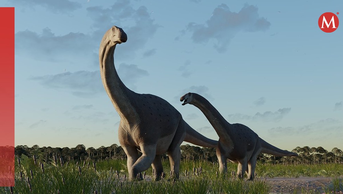 Descubren nueva especie de titanosaurio | EFE