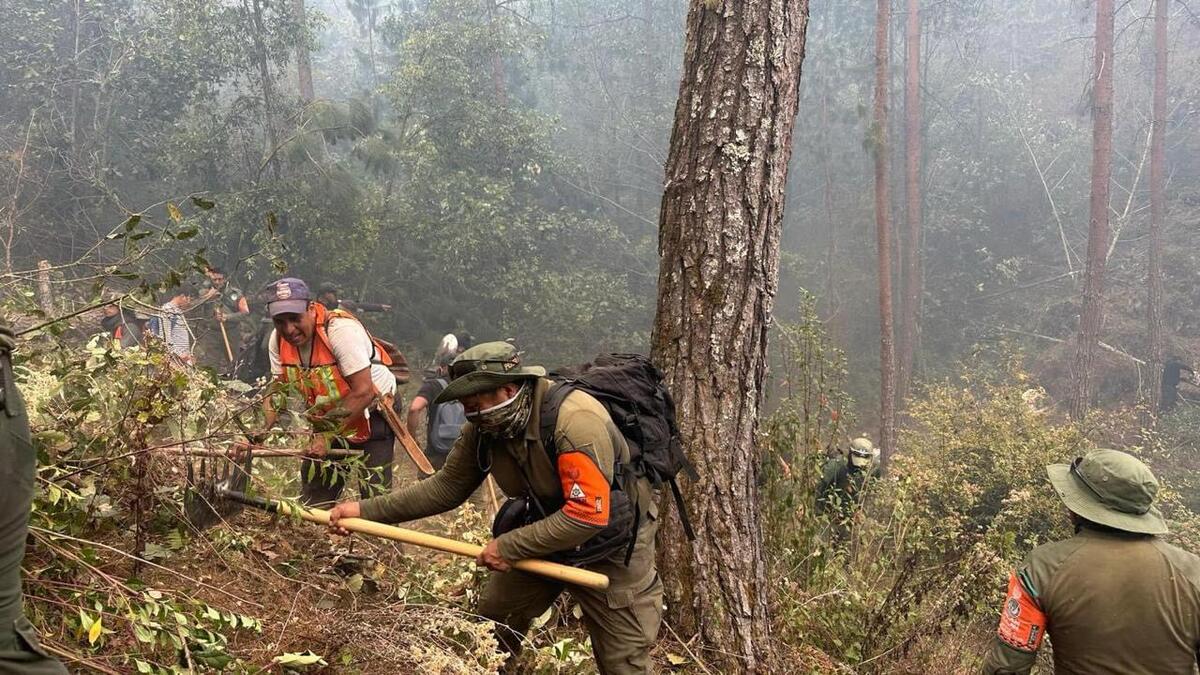Los incendios son atendidos por brigadistas de los tres órdenes de gobierno así como brigadas voluntarias. Especial