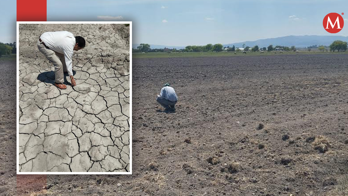 Las presas y jagüeyes en Tulancingo están prácticamente vacíos