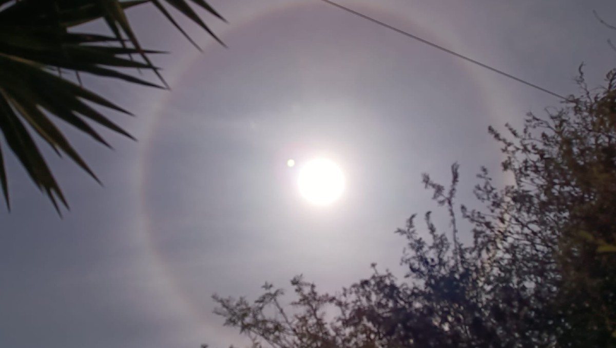 Halo solar en Ciudad Victoria se registró hoy 12 de abril de 2024. (@MeteoroTamps)