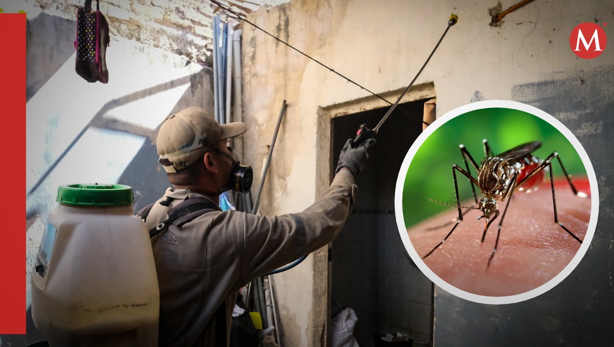 Jalisco registra aumento en casos dengue (Fotos: X y especial | Diseño: Milenio)