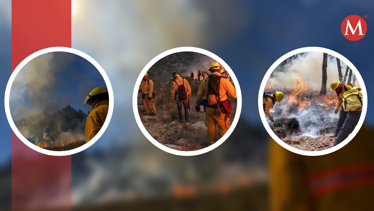 Van 700 hectáreas afectadas por incendios forestales en Tamaulipas