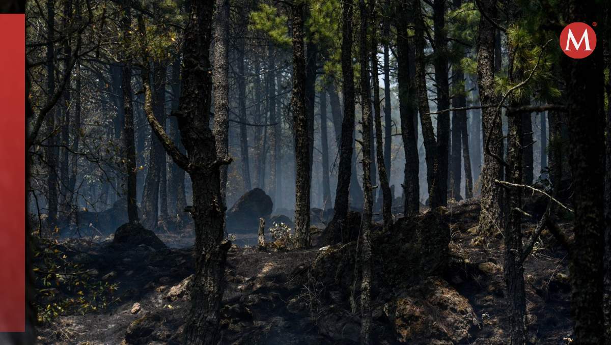 Continúan labores para sofocar incendio en Tenango del Valle| Cuartoscuro