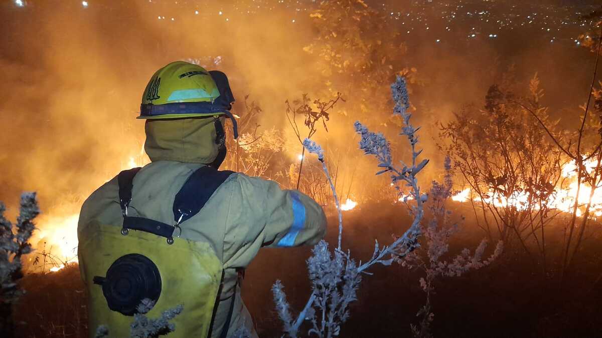 Incendio forestal en el bosque La Primavera. (Cortesía)