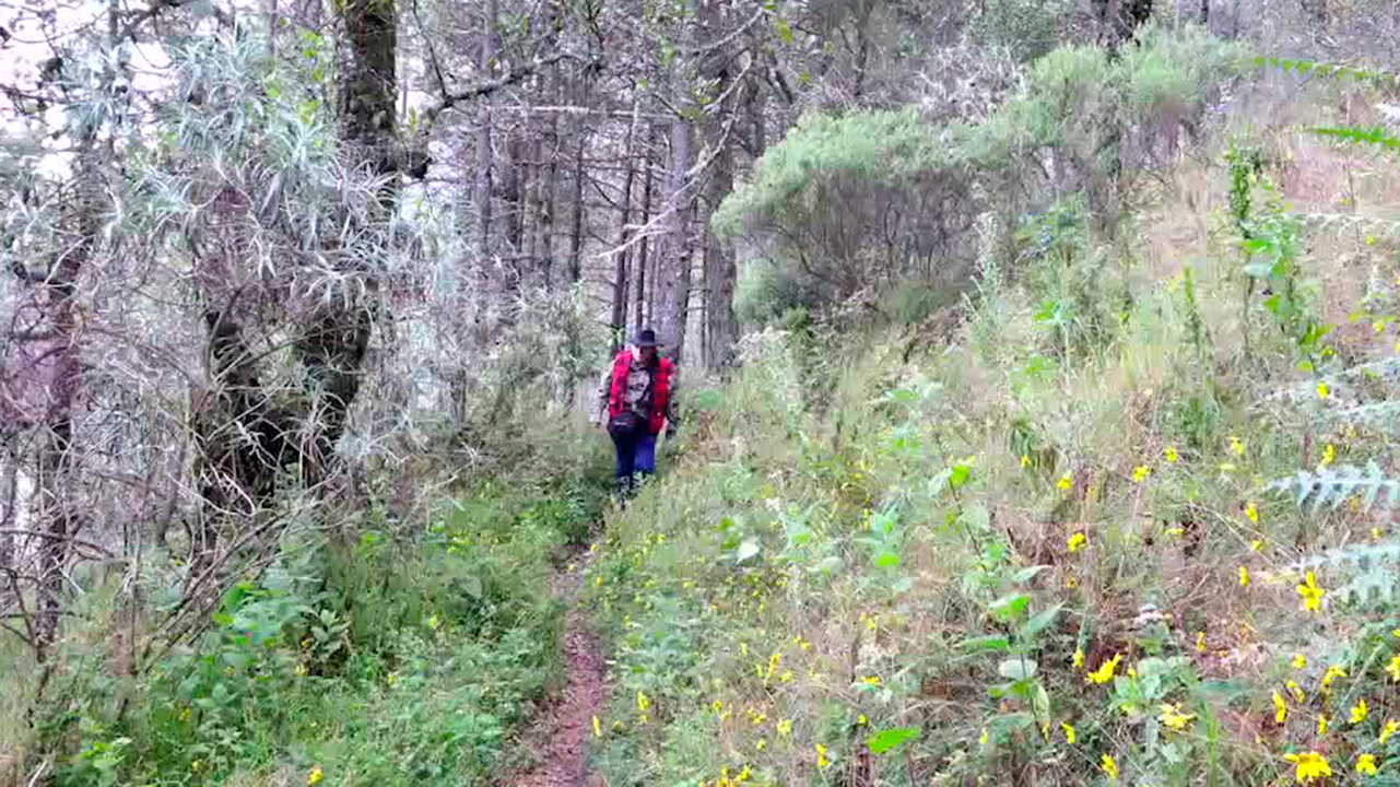 Los detalles que existen en las montañas | Conexión Milenio