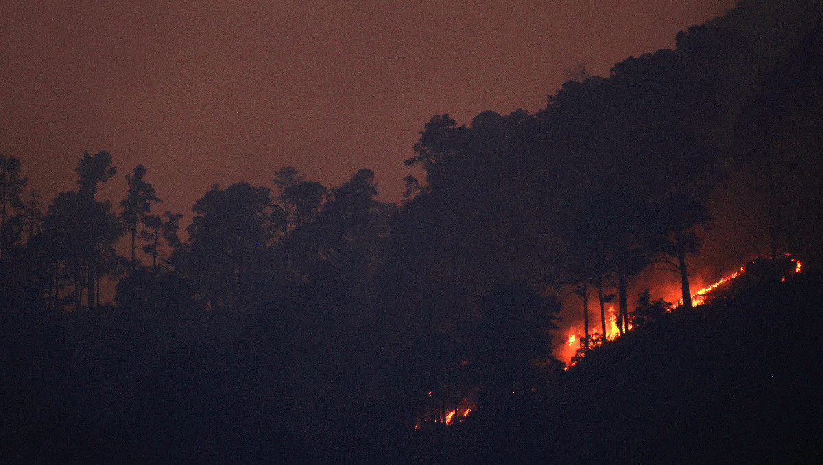 Aspectos de incendio forestal en Cuyoaco, Puebla | Andrés Lobato