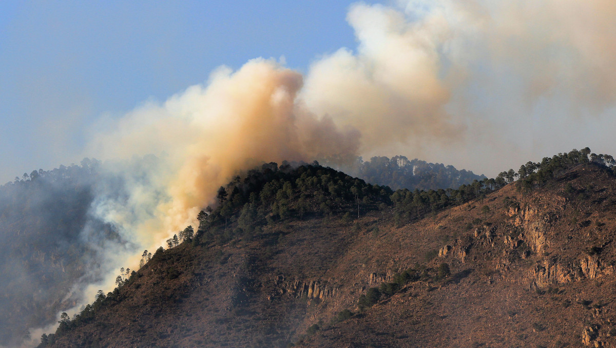 Aspectos de incendio forestal en Cuyoaco, Puebla | Andrés Lobato