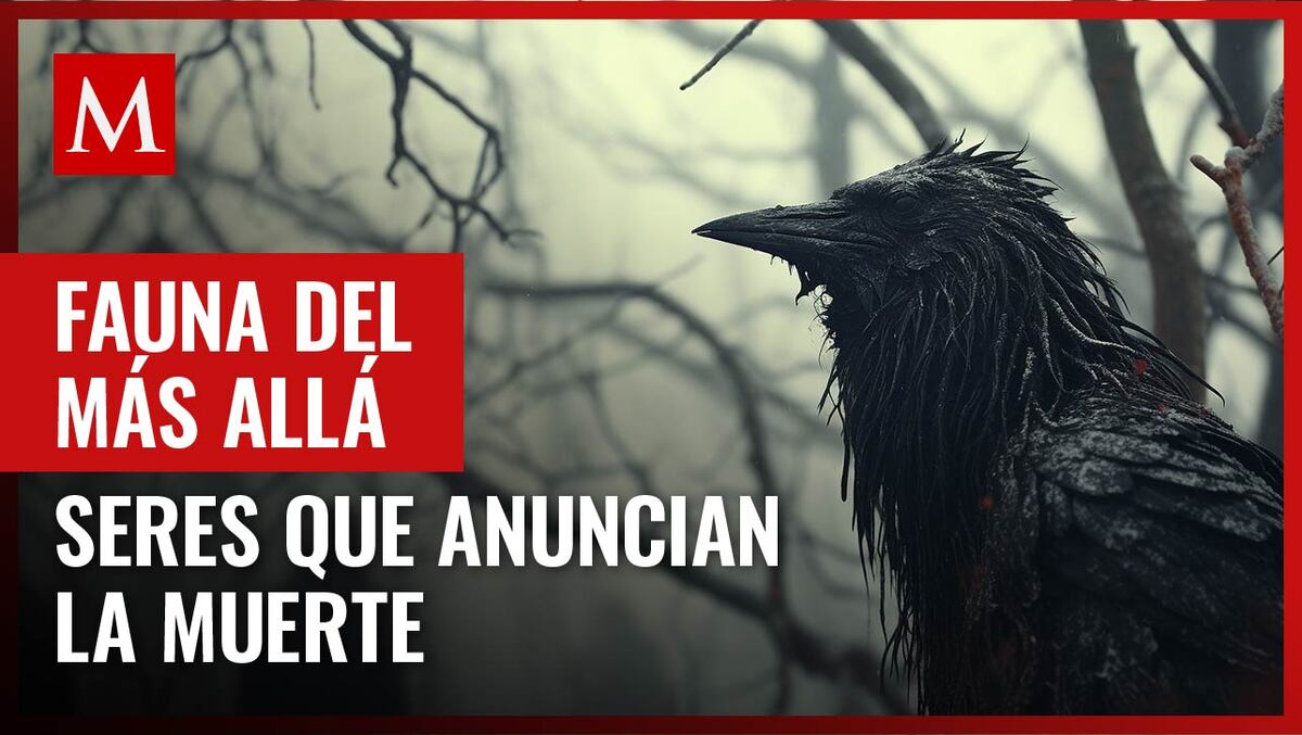 Criaturas del más allá: estos son los animales vinculados al reino de los muertos