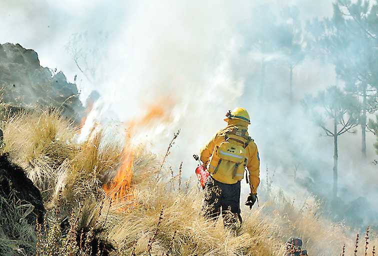 El daño que dejan los incendios. JAVIER GARCÍA