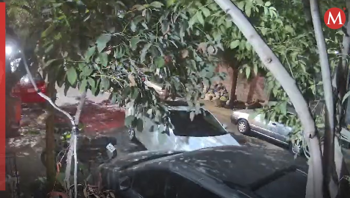 En el video se aprecia como después de chocar se da a la fuga | Especial