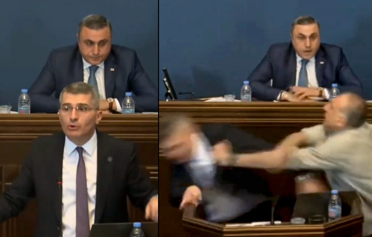 Parlamento de Georgia (EFE)