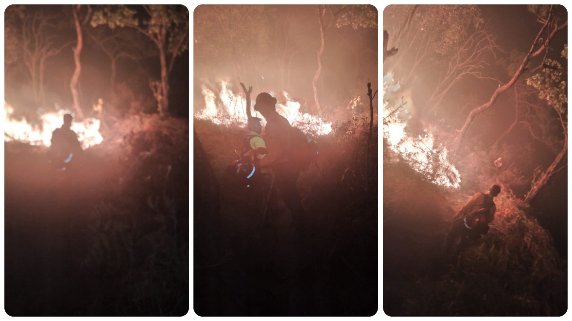 Semadet activa alerta atmosférica por incendio forestal en el predio 18, en Zapopan (Cortesía)