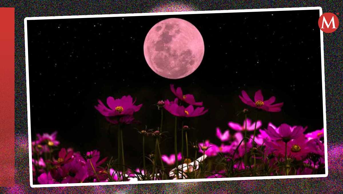 La Luna Rosa es identificada por varias culturas por su relación con otros eventos naturales | MILENIO