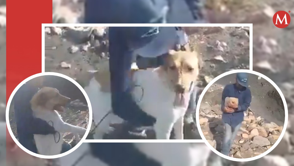 Maltrato animal en León: jóvenes arrojan perro a un pozo | Especial