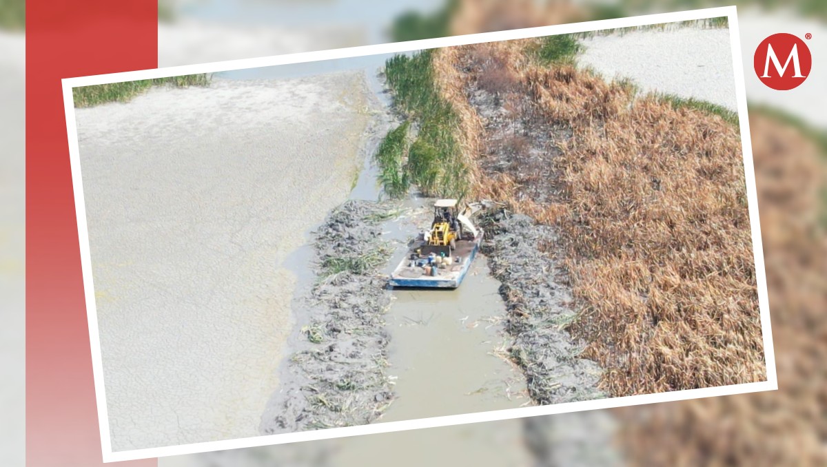 Tras sequía dragan "Laguna de Mayorazgo" en el norte de Veracruz