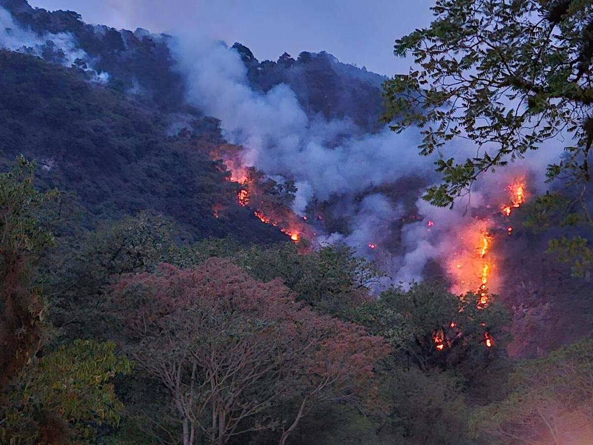 Veracruz busca helicópteros de Sedena y Semar ante emergencia por fuegos | Especial