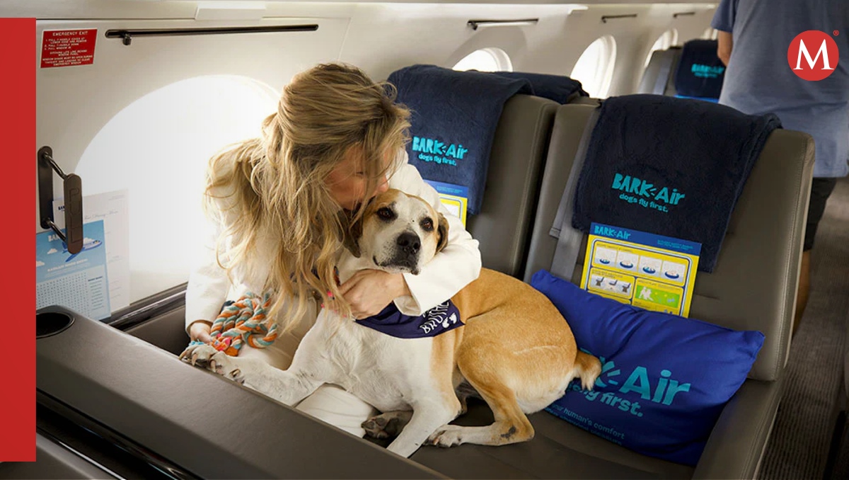 Lomitos tienen acceso a su propia aerolínea | BARK Air