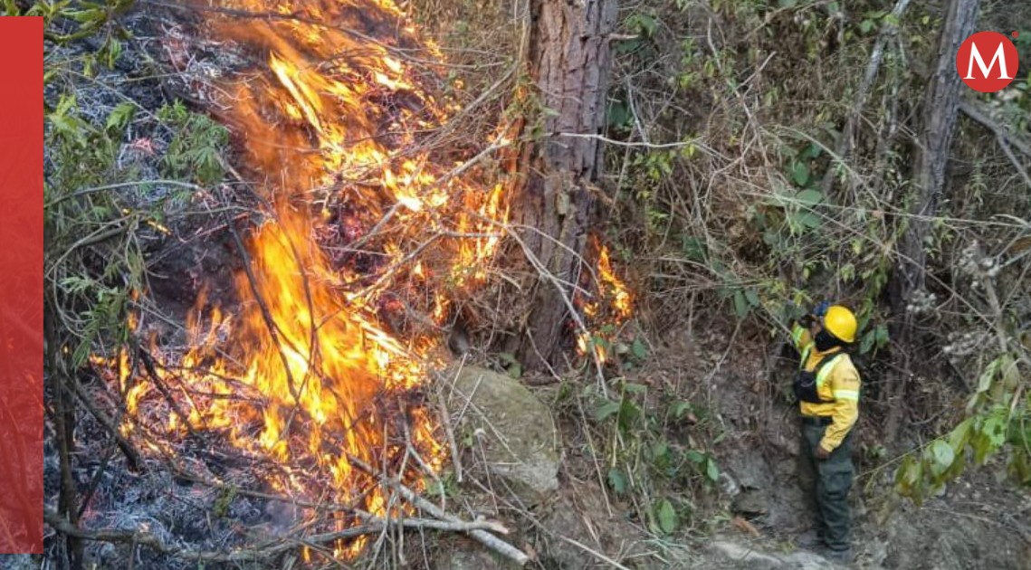 En Oaxaca, declaran emergencia por incendios en Selva de Chimalapas | Especial