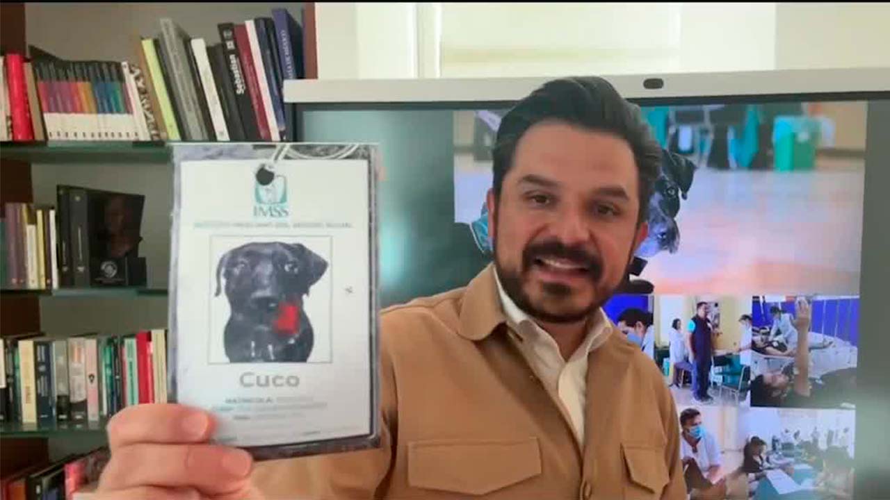 Perrito es nombrado como embajador de Donación Altruista de Sangre | ¿Qué hicimos? con Zoé Robledo